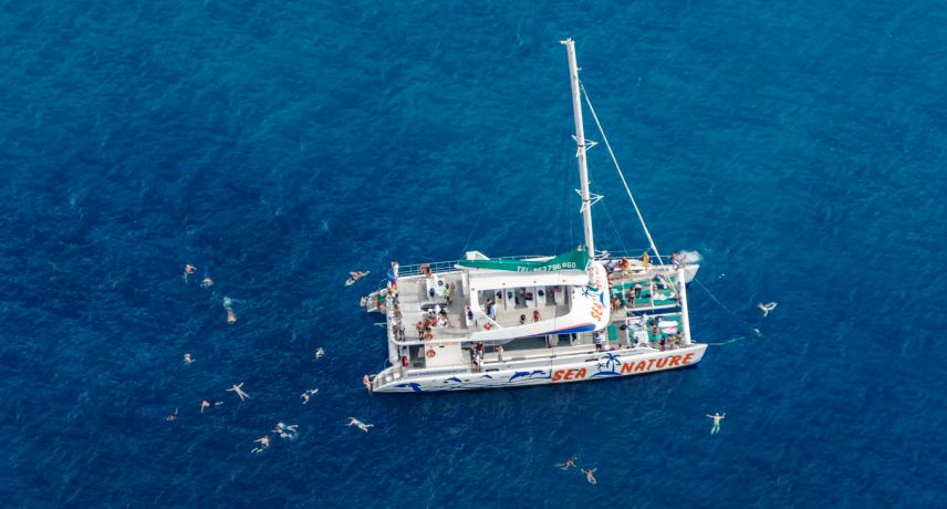 5 Reasons to Visit Madeira Islands after Coronavirus- dolphins whales watching trip madeira 5 Reasons to Visit Madeira Islands after Coronavirus- dolphins whales watching trip madeira